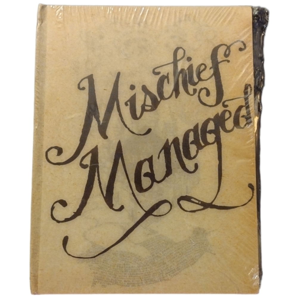 𝅺harry Potter Lenticular Journal. New Still In Plastic W Wand Pen